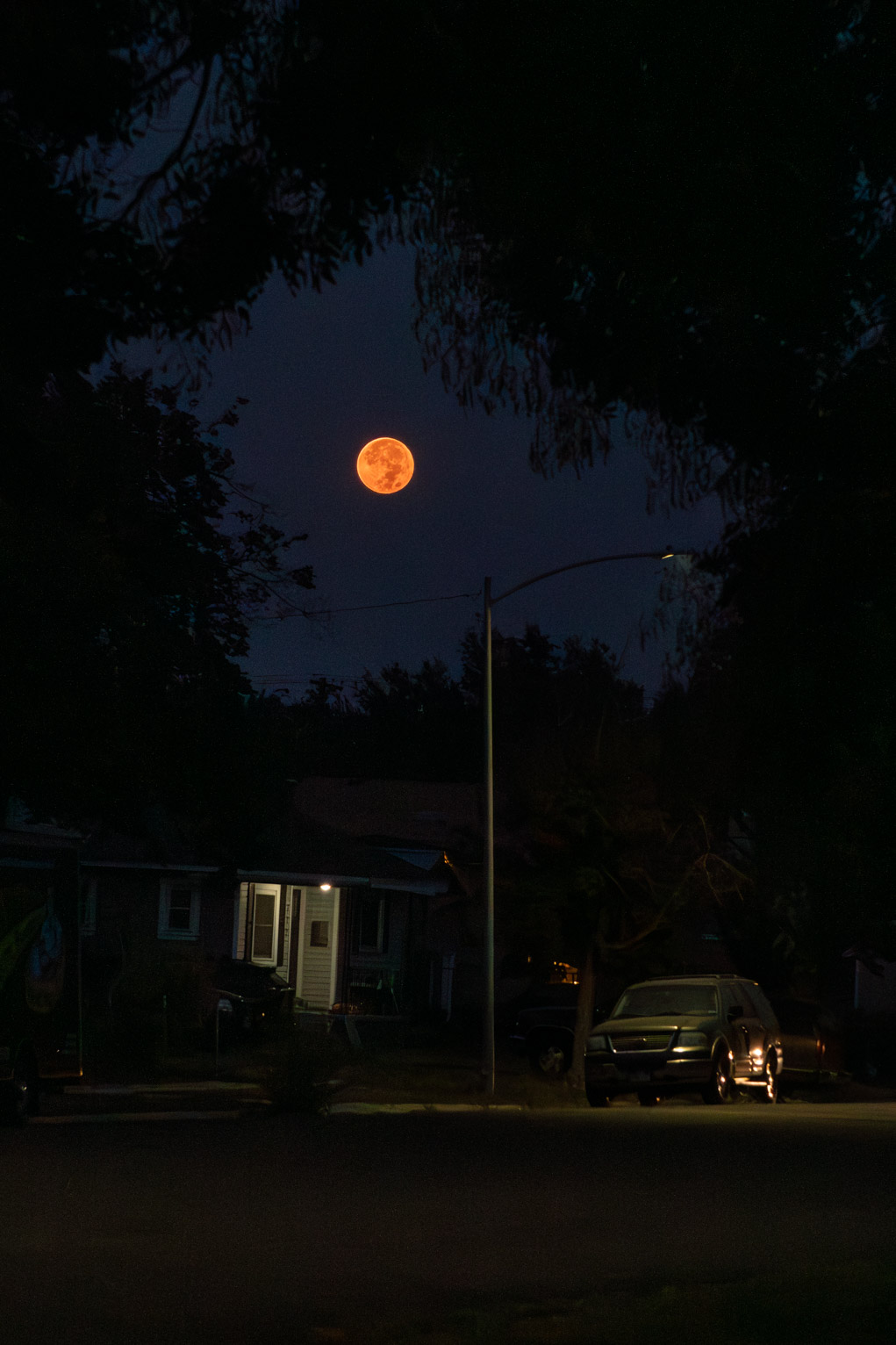 The full moon is almost red before dawn, visible through a gap in the trees in a neighborhood